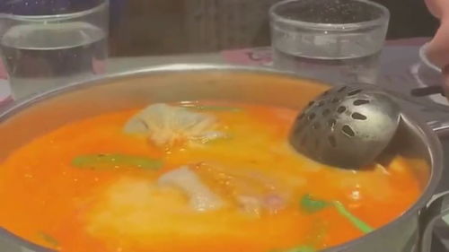 四川美食 火鍋底湯放椰子,這是什么操作 好期待這個(gè)味道